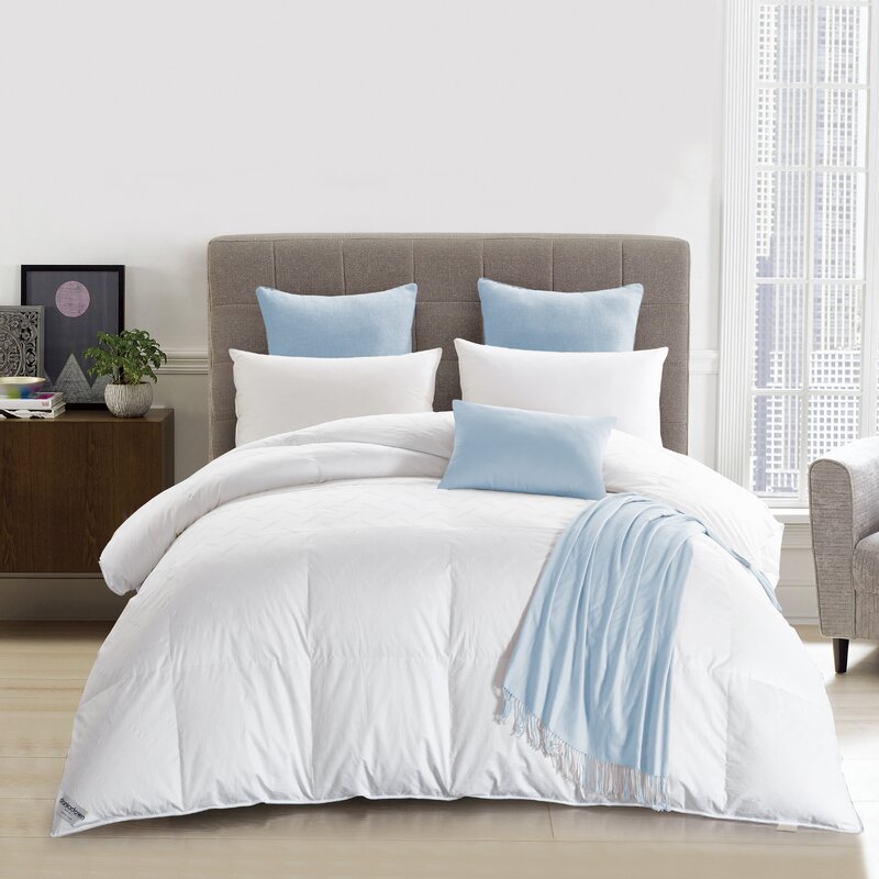 Charlton Home® Winter Heavyweight Down Duvet Insert & Reviews | Wayfair